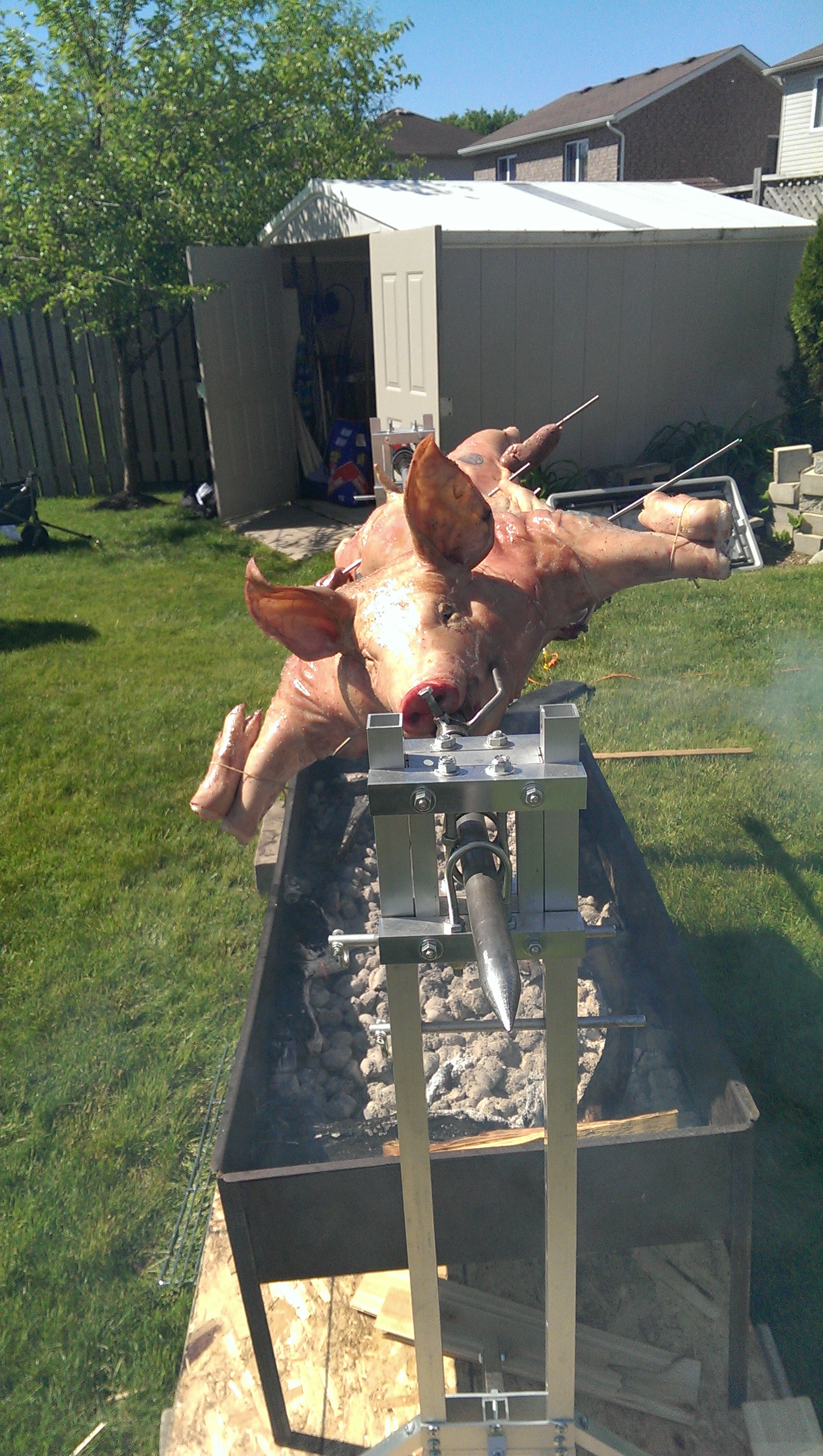fresh pig roast