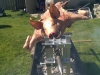 fresh pig roast