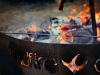 wildfire pit flame guard